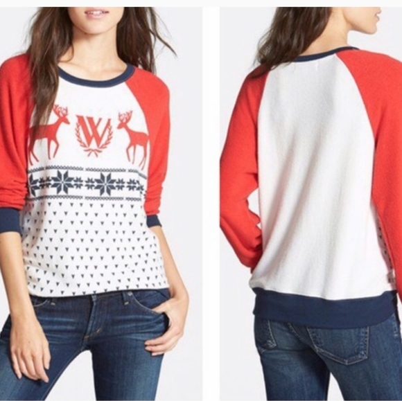 Wildfox Sweaters - Wildfox❄❄